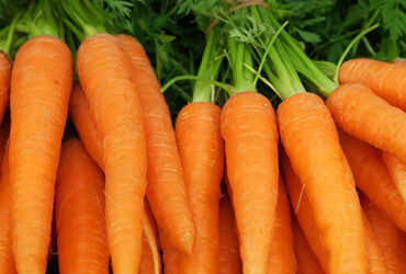 Crunchy, Sweet, and Full of Goodness
