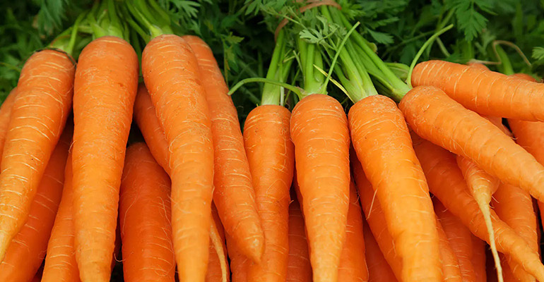 Crunchy, Sweet, and Full of Goodness